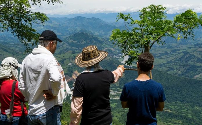 Tur Kopi Immersive Ini Mengikuti Biji dari Pohon ke Cangkir